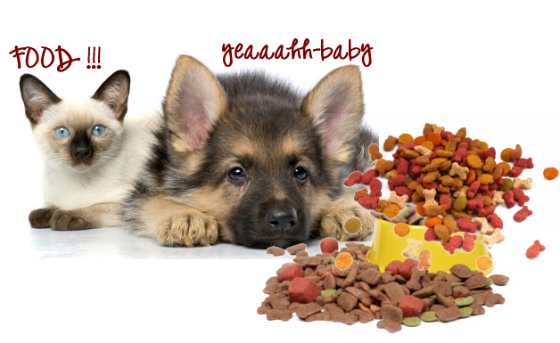 print dog food and cat food coupons at FleaSeason.com