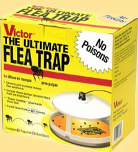 Ultimate Flea Trapper kills fleas in house and home without harmful chemicals, safe around kids and pets