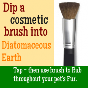 cosmetic brush application diamateous earth