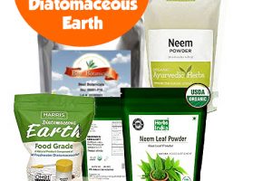 Questions About Diatomaceous Earth I Use as a Flea Killer
